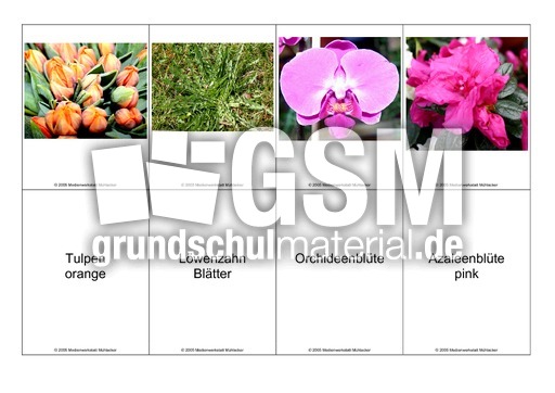 Blumen-Memo-Aufdeckspiel-13.pdf